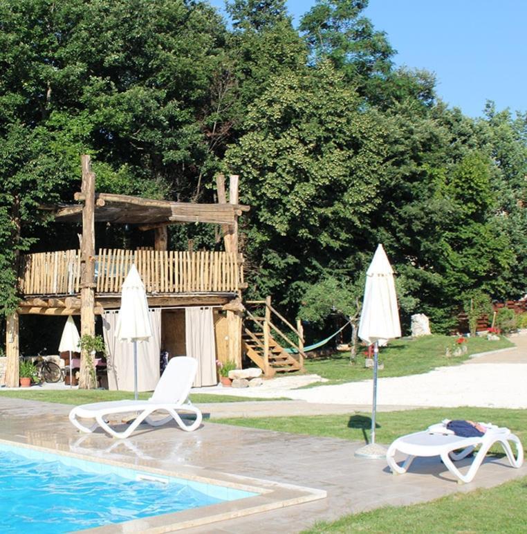 Apartment Modrusani 1561 Žminj エクステリア 写真